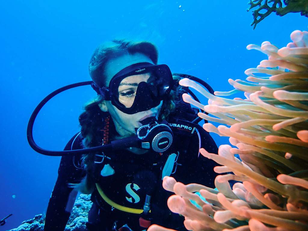 Un bautizo de buceo con dos inmersiones