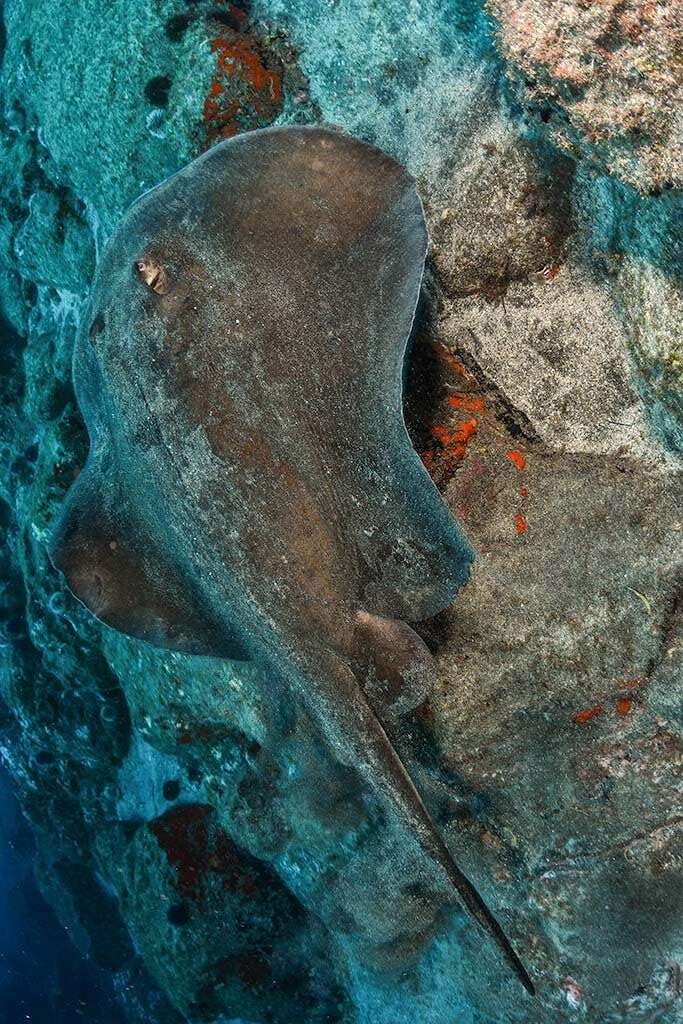 bucear en las Eras Tenerife Sur