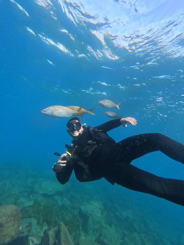 buceo tenerife | plongée tenerife | tauchen teneriffa