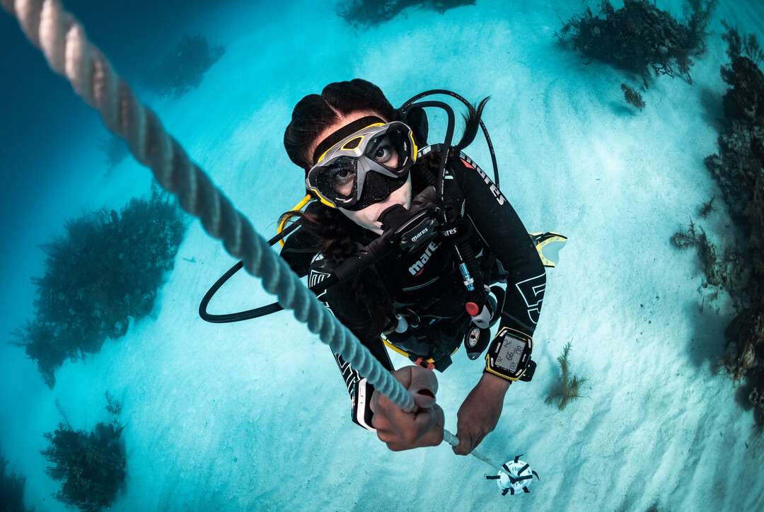 buceo tenerife | plongée tenerife | tauchen teneriffa